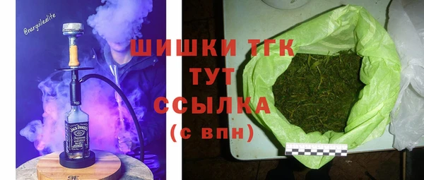 индика Армянск