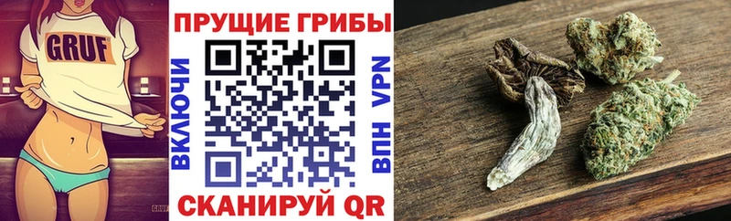 MEGA ссылка  Сельцо  Псилоцибиновые грибы прущие грибы  хочу  